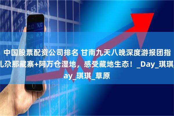 中国股票配资公司排名 甘南九天八晚深度游报团指南：扎尕那藏寨+阿万仓湿地，感受藏地生态！_Day_琪琪_草原